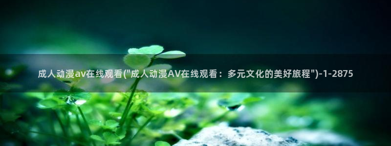 av影院网站