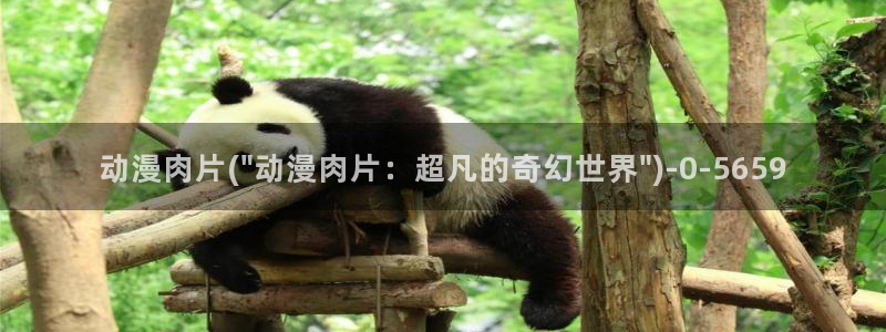 看动漫