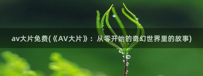 影音先锋资源av网