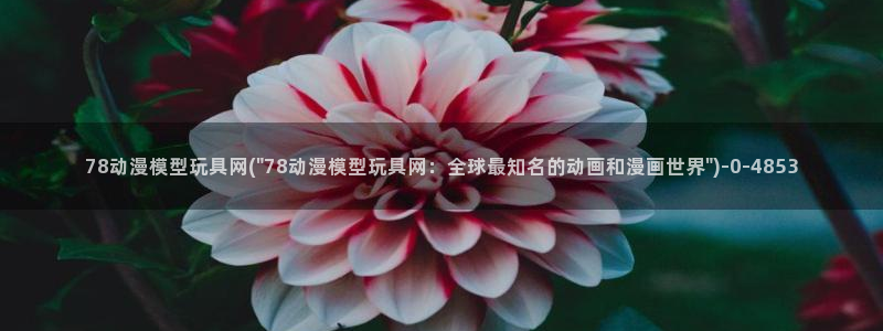 新番动漫