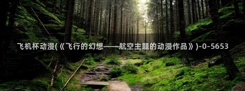 动漫小说